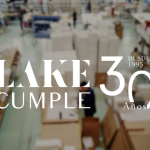 Lake shoes 30 aniversario